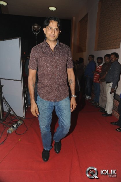 1-Nenokkadine-Movie-Audio-Release